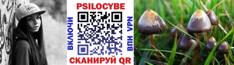 Псилоцибиновые грибы Magic Shrooms  Светлогорск 